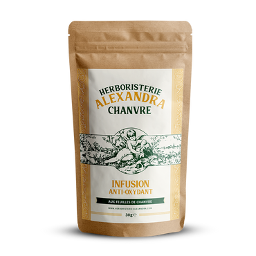 Infusion Chanvre Anti-Oxydant